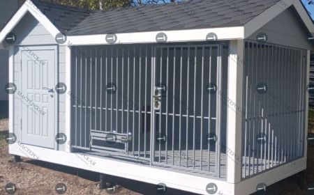 Вольер для собаки в светлых цветах