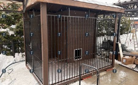 Маленький вольер для собаки